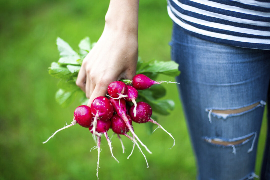 (mira33/iStock)