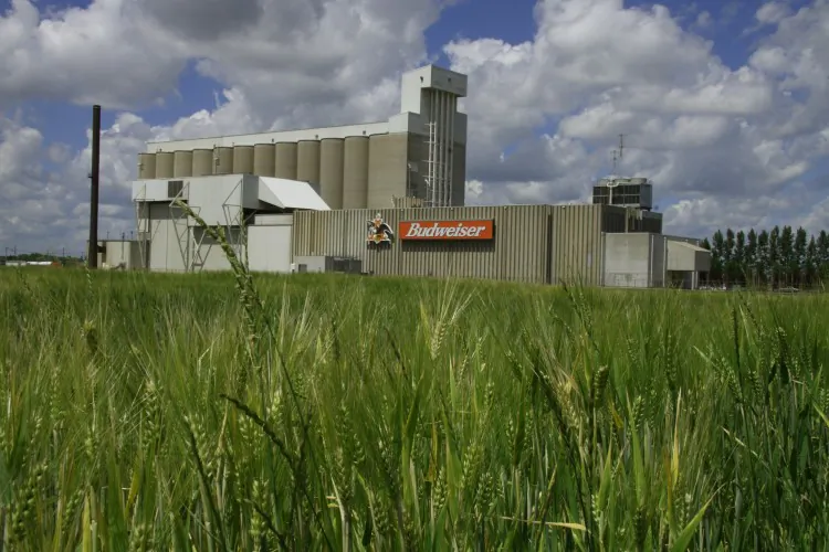 The Busch Agricultural Research facility in Fargo, North Dakota. The Oglala Sioux Tribe at Pine Ridge reservation is some of the largest beer manufacturers, including Anheuser-Busch, Miller, and Molson Coorsfor $500 million in damages. (Karen Bleier/AFP/Getty Images)