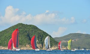 Summer Sunshine for Saturday Races