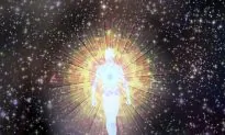 How the Human Body Is Affected by the Cosmic Environment