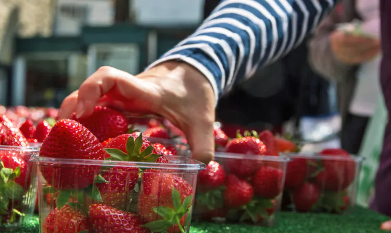 "It's about bringing money back into the soil and making sure capital is circulating locally," says Priyanka Jayashankar. "The idea is to not let the capital circulate so far or so fast as in more traditional investment plans." (The Pizza Bike/CC BY 2.0)