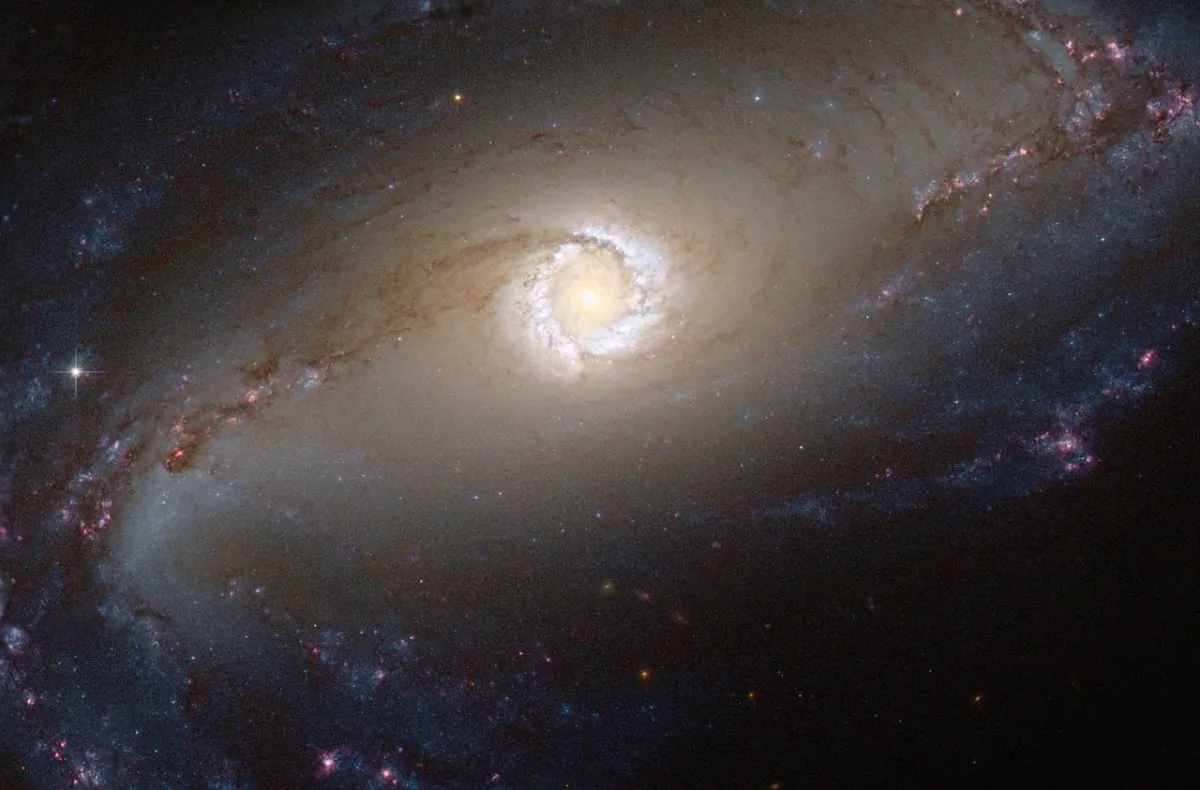 A bright star-forming ring that surrounds the heart of barred spiral galaxy NGC 1097 in this file photo. (NASA)