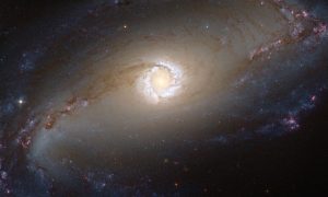 Astronomers Say Advanced Alien Civilizations Have Existed