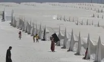 Numbers of Refugees at New Highs