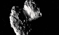 Astronomers Say Comet 67P May be Home to Microbial Life (Video)