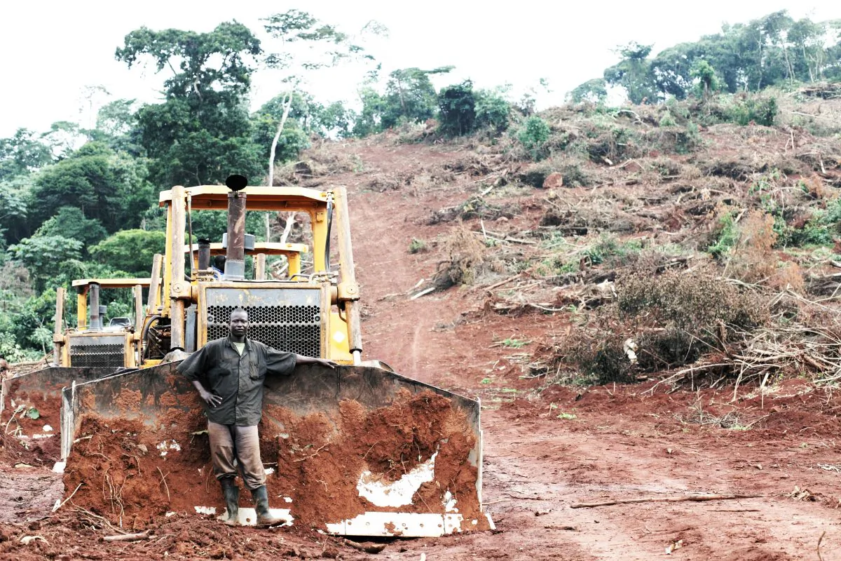 A newly cleared site of hundreds of acres by the lakeside near Kalangala, Uganda. This land assumed by locals to be common land and therefore for public use was all of a sudden in the hands of the plantation owner, BIDCO. Within three months the forest was destroyed, trees felled and pushed into the ground to rot and provide nutrients for the soils. (FoEI / ATI - Jason Taylor)