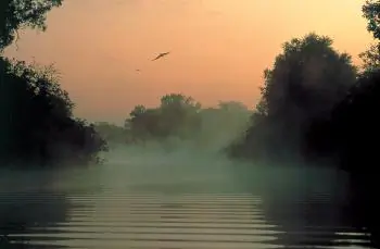 The Wonder of Wetlands