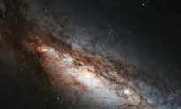 Astronomers Watch Black Hole Burst Back to Life