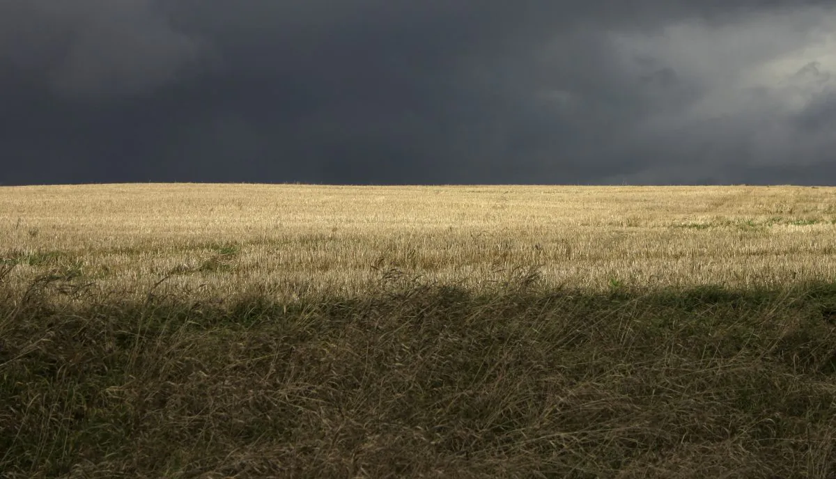 On a ranch in Washington State, a giant divot appeared in 1984, startling locals and puzzling experts. A file photo of a field. (That Cloud There/iStock)