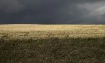 Huge, Unexplained Hole Smoothly Cut in Washington Field—and 3 Other Bizarre Events