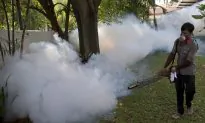 New Antibody Adds to Arsenal Against Dengue