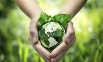 Let’s Recycle Right! (Video)