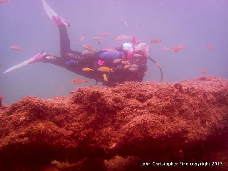 Author Dr. John Christopher Fine at Phil Foster Park about to dive at Blue Heron Bridge county park with his SeaLife underwater camera. The author of books and articles about underwater photography, the author, a marine biologist, uses his SeaLife digital camera to record animal behavior and marine life. (Myriam Moran copyright 2013)