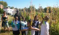 Raising the Bar on Healthy Foods in DC Public Schools