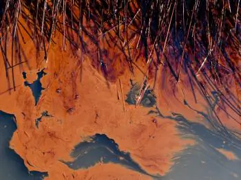 Jones Act Not A Concern For BP Oil Spill Cleanup