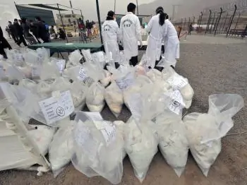 Peru May Become World’s Biggest Coca Producer