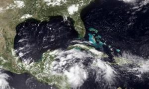 Tropical Storm Alex Moves North