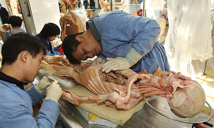 Chinese dissection experts prepare a human body at the Von Hagens Plastination factory in Dalian, on Feb. 2, 2004. Von Hagens opened the first plastination factory in Dalian, but was soon followed by several imitators. (STR/AFP/Getty Images)
