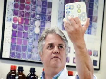 Bacteria Can Smell, Research Finds