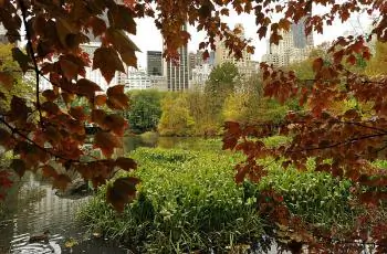 Central Park: The people behind the beauty