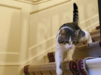 Stalking the Corridors of Power