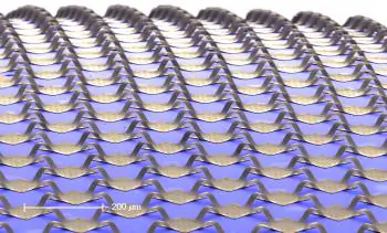 Electronics Now Come With a Twist