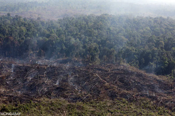 Fires Rage in Indonesian Park Illegally Trashed for Palm Oil
