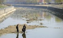 China’s Seven River Systems Are All Polluted