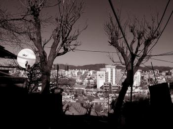 Modernization Enfolds an Old Korean House