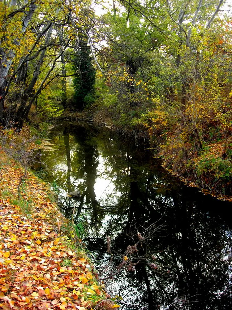 Autumn near Sevastopol (Alla Lavrynenko/The Epoch Times)