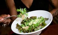 Meatless Mondays Campaign at NYU