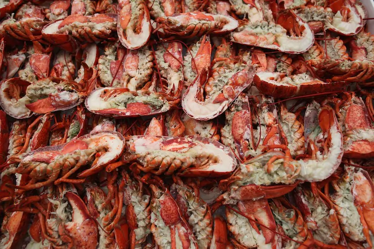 Lobsters are prepared to be grilled on June 22, 2011 in London, England. (Dan Kitwood/Getty Images)