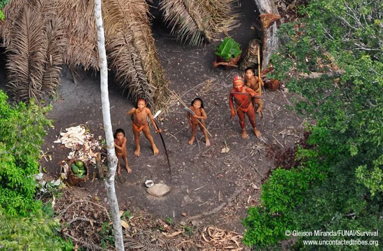 An aerial view of members of an isolated tribe in the Amazon rainforest living along the Peru-Brazil border, taken in 2011. (© Gleison Miranda/FUNAI/Survival/UncontacTedtribes.org/BrazilPhotos)