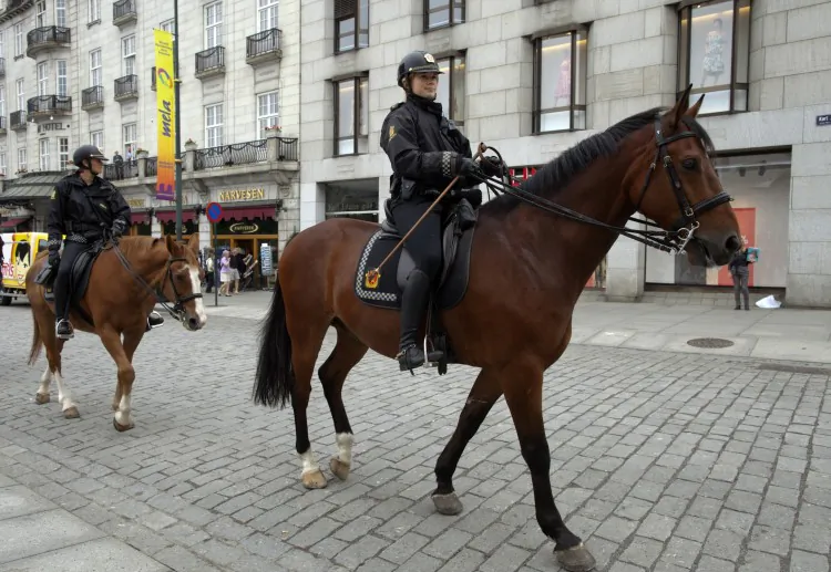 Norwegian mounted police patrol a busy shopping district July 28, 2011 in Oslo, Norway. (Paula Bronstein/Getty Images)