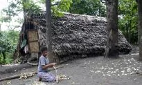 Urgent Aid Needed in Vanuatu After Back-to-Back Cyclones