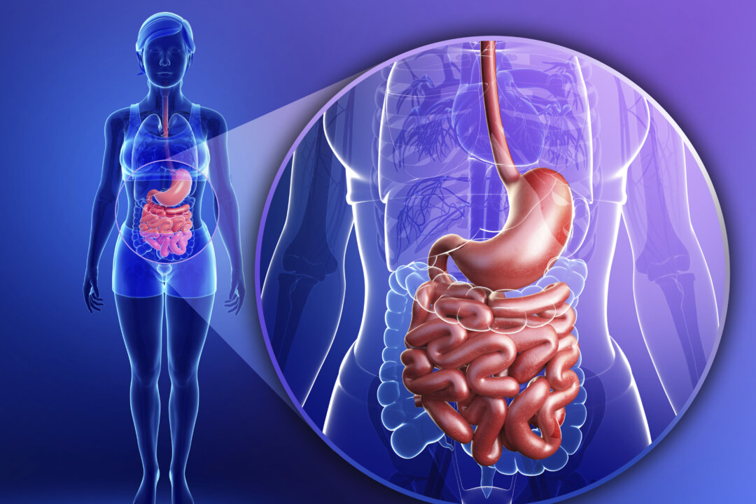 The results indicate that being overweight might not be related only to how healthily a person eats or the amount of exercise they get. It may also have something to do with the composition of their gut microbes. (sankalpmaya/iStock)