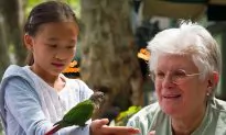 Rescued Exotic Birds Delight Children at Bryant Park