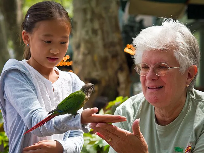 Pickles, a military macaw from South America, is at Birds in Bryant Park on Aug. 21, in Midtown Manhattan. (Benjamin Chasteen/The Epoch Times)
