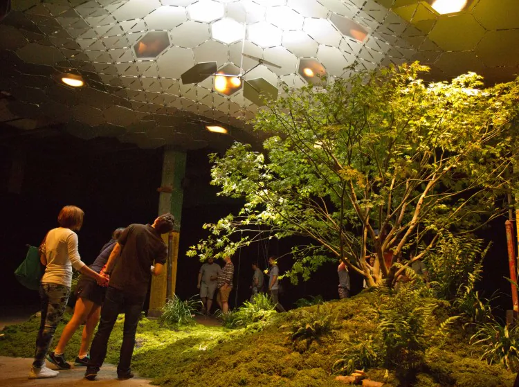 Visitors to the Imagining the Lowline exhibit check out the light that helps a Japanese maple grow underground at the Essex Street Warehouse on Saturday in Manhattan’s Lower East Side. (James Smith/Epoch Times)