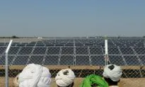 Theft of Solar Panels on the Rise