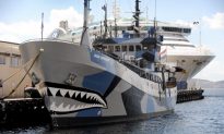 Whalers, Activists Clash in Antarctic