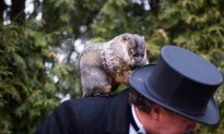 Groundhog Day 2012: Punxsutawney Phil Predicts Six More Weeks of Winter