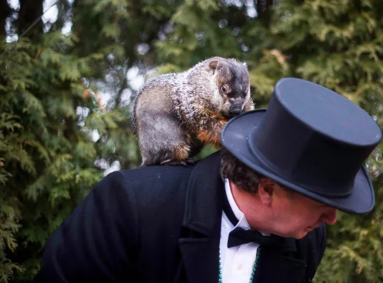 Groundhog handler Ron Ploucha holds Punxsutawney Phil after he saw his shadow predicting 6 more weeks of winter during 126th annual Groundhog Day festivities on Feb. 2 in Punxsutawney, Penn. (Jeff Swensen/Getty Images)