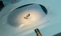 Marriage of Titanium and Gold Makes a Rare Magnet