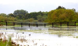 Evacuation Alert as Flooding Continues Across VIC and NSW