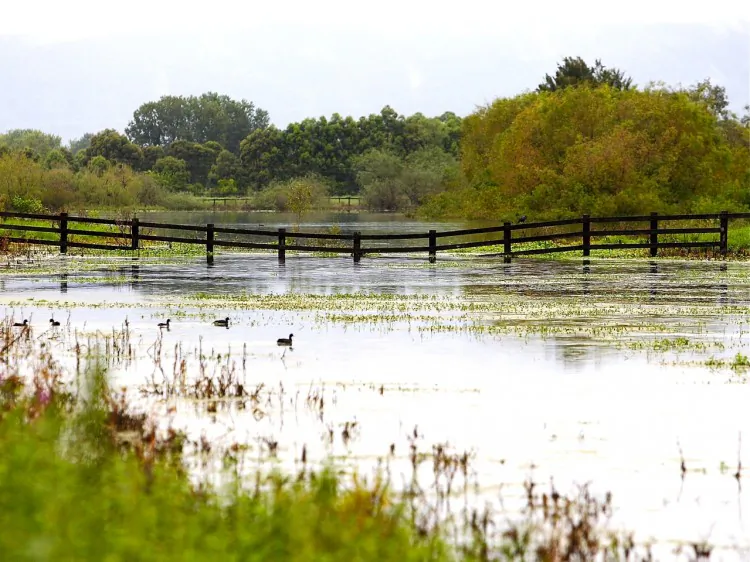 A flood evacuation sign is seen near Yarramundi Bridge on March 2, 2012 in Richmond, Australia. (Ryan Pierse/Getty Images)