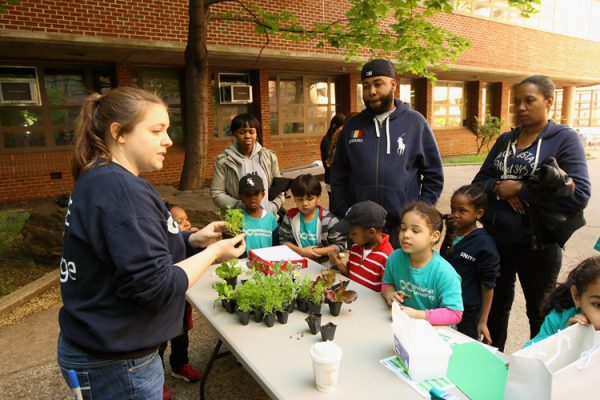 American Heart Association Teaching Gardens Planting In Harlem