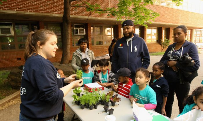 Students at the KIPP Infinity Charter School in New York, N.Y., attend the American Heart Association Teaching Gardens Planting in Harlem on May 12, 2012. The presence of charter schools is viewed as a way to create school choices and parental engagement, according to the Parent Power Index. (Neilson Barnard/AHA/Getty Images)