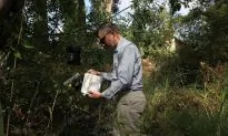 Season’s First Case of West Nile Virus Found