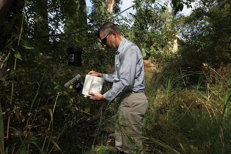 Contra Costa County Mosquito and Vector Control District technician David Wexler inspects a carbon dioxide trap for mosquitos on June 29, 2012 in Pleasant Hill, California. (Justin Sullivan/Getty Images)